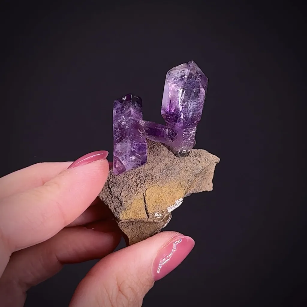 Quartz var. Amethyst and Scepter Amethyst image