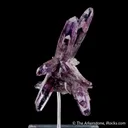 Quartz var. Amethyst - image 4