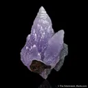 Quartz var. Amethyst - image 1