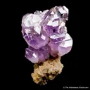 Quartz var. Amethyst - image 4