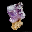 Quartz var. Amethyst - image 1