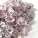 Quartz (Var: Amethyst), Calcite - image 2