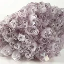 Quartz (Var: Amethyst), Calcite - image 1