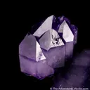 Quartz var. Amethyst (floater) - image 5