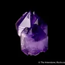 Quartz var. Amethyst (floater) - image 8