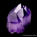 Quartz var. Amethyst (floater) - image 6