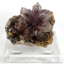 Quartz Var. Amethyst Flower - image 1