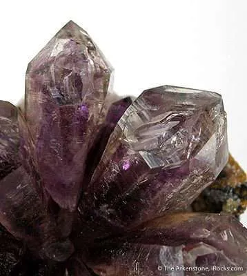 Quartz Var. Amethyst Flower - image 2