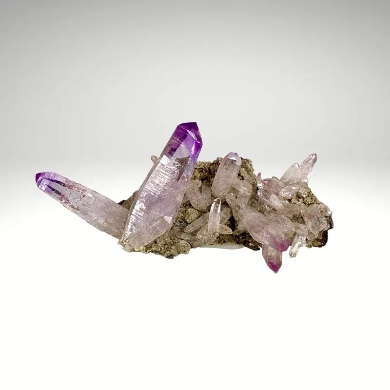 Quartz var. Amethyst from Mexico, Veracruz, Las Vigas de Ramírez Municipality - image 6