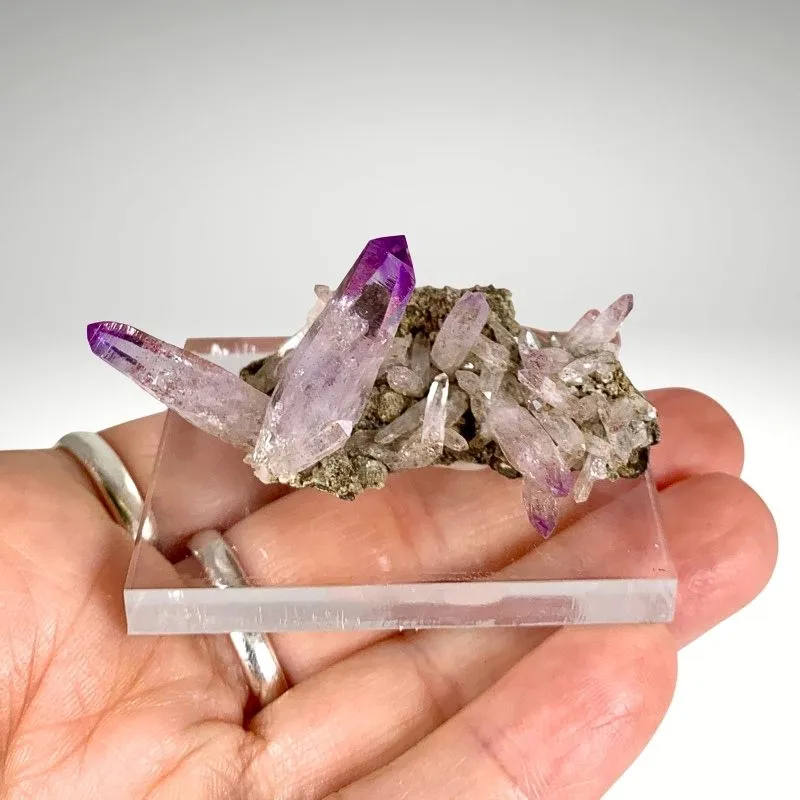 Quartz var. Amethyst from Mexico, Veracruz, Las Vigas de Ramírez Municipality image