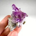 Quartz var. Amethyst from Mexico, Veracruz, Las Vigas de Ramírez Municipality, Piedra Parada - image 3