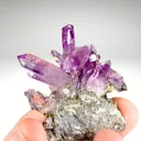Quartz var. Amethyst from Mexico, Veracruz, Las Vigas de Ramírez Municipality, Piedra Parada - image 1