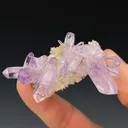 Quartz var. Amethyst, Las Vigas Mun., Veracruz, Mexico - image 3