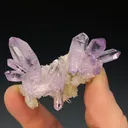 Quartz var. Amethyst, Las Vigas Mun., Veracruz, Mexico - image 1