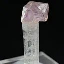 Quartz var. Amethyst on Danburite - image 1