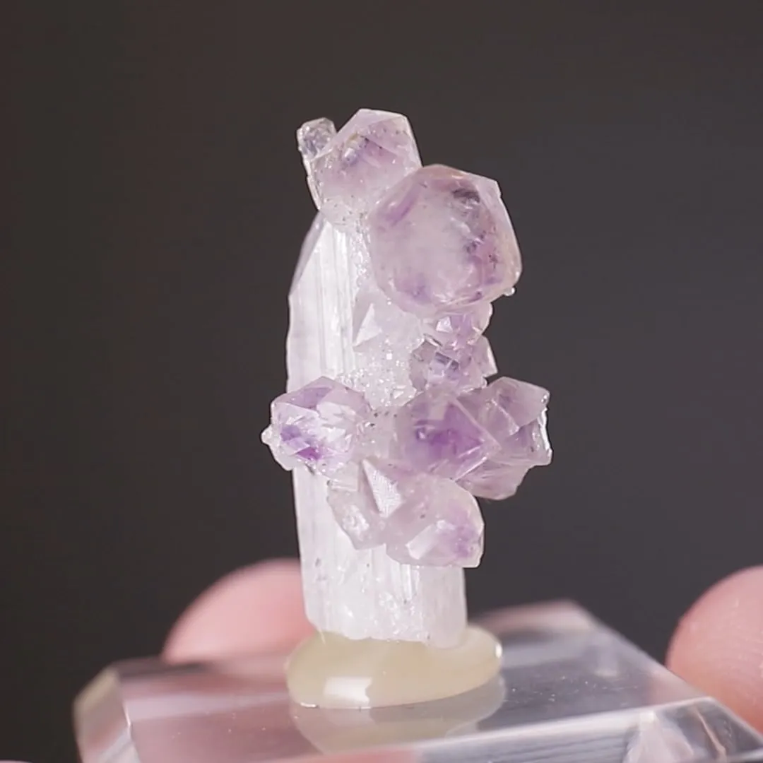 Quartz var. Amethyst on Danburite - image 2