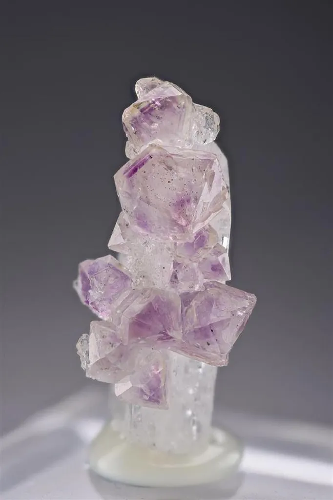 Quartz var. Amethyst on Danburite image