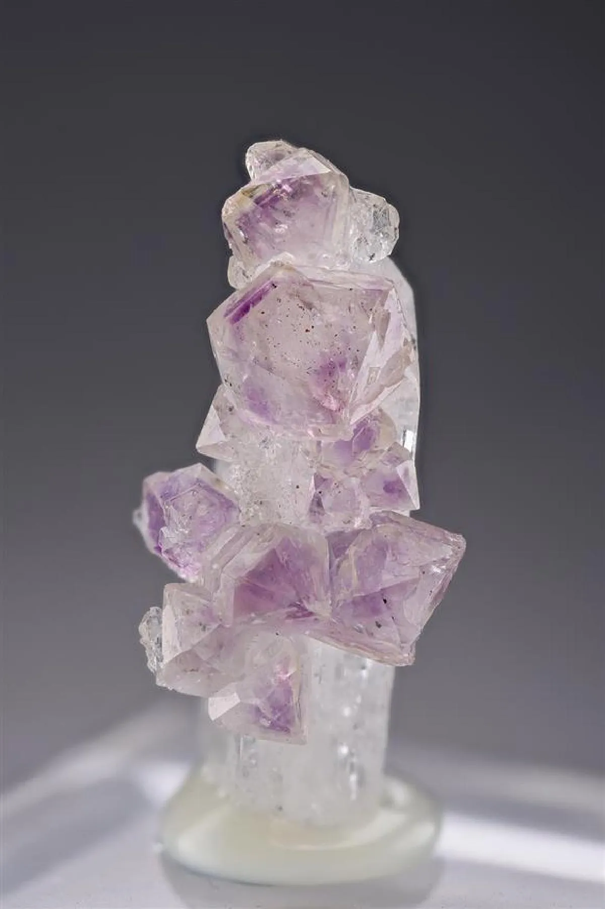 Quartz var. Amethyst on Danburite - image 1