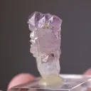Quartz var. Amethyst on Danburite - image 2