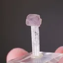 Quartz var. Amethyst on Danburite - image 2