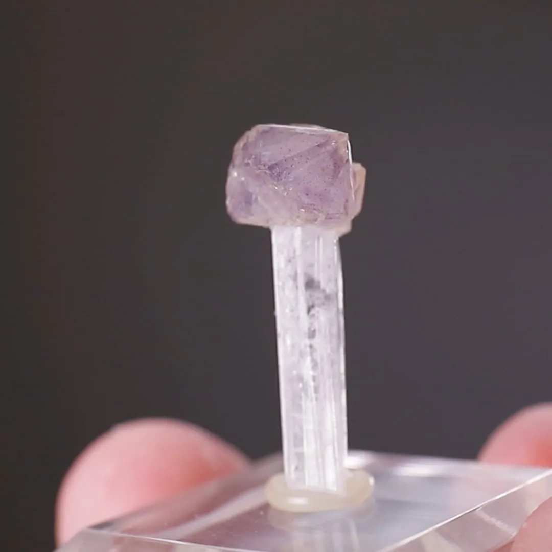Quartz var. Amethyst on Danburite - image 2