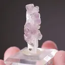Quartz var. Amethyst on Danburite - image 2