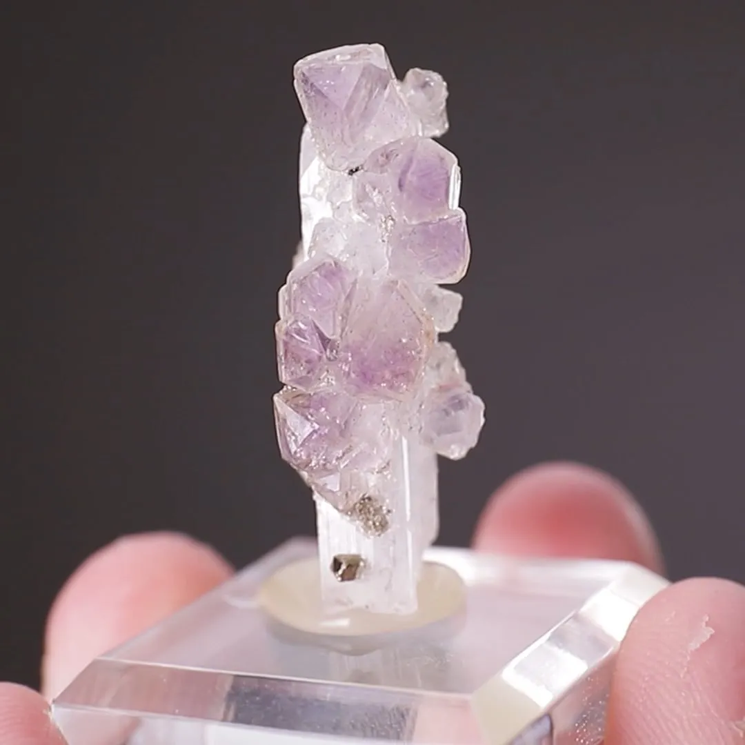Quartz var. Amethyst on Danburite - image 2