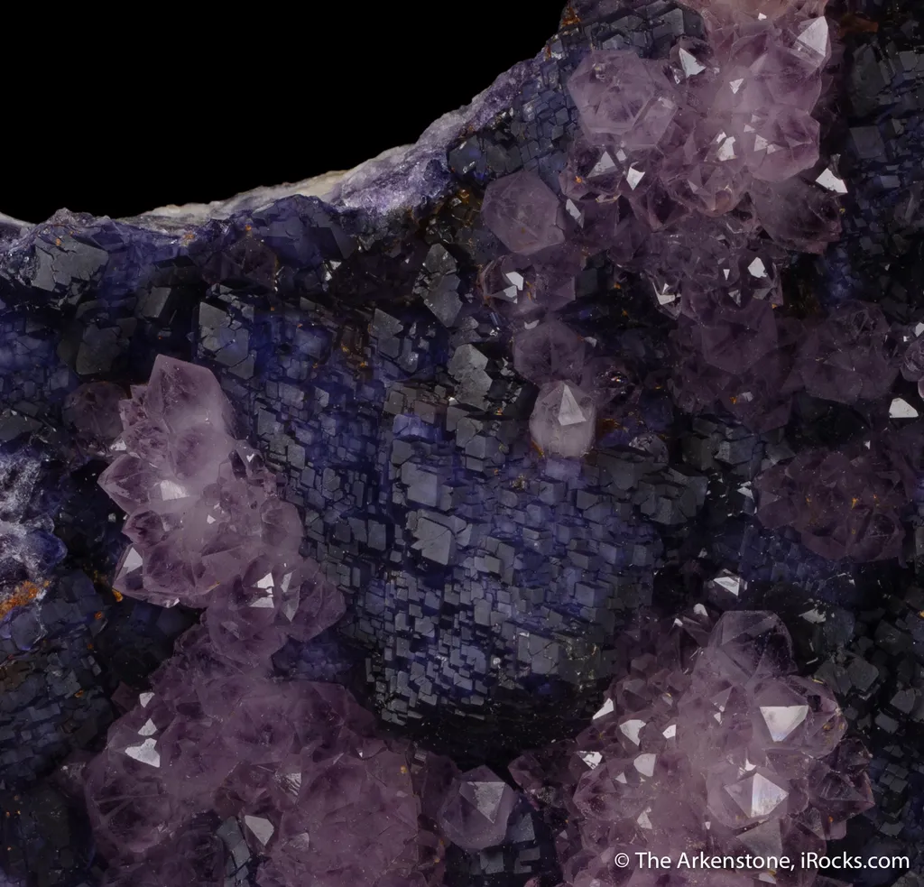 Quartz var. Amethyst on Fluorite - image 2