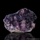Quartz var. Amethyst on Fluorite - image 1