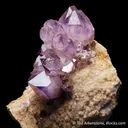 Quartz var. Amethyst on Matrix - image 6