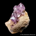 Quartz var. Amethyst on Matrix - image 5