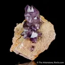 Quartz var. Amethyst on Matrix - image 4