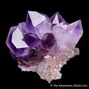 Quartz var. Amethyst on Quartz - image 4