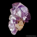 Quartz var. Amethyst on Quartz - image 3