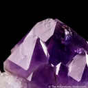 Quartz var. Amethyst on Quartz - image 7
