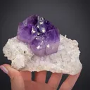 Quartz var. Amethyst on Quartz - image 1