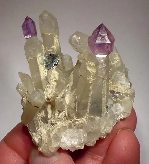 Quartz (Var: Amethyst), Quartz image