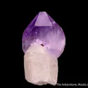 Quartz var. Amethyst (scepter) - image 1