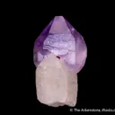 Quartz var. Amethyst (scepter) - image 5