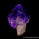 Quartz var. Amethyst (scepter) - image 6