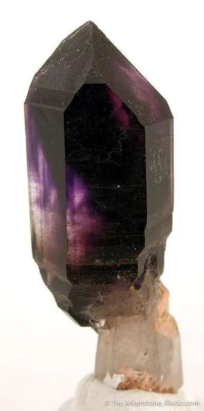 Quartz Var. Amethyst Scepter image