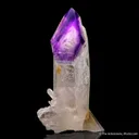 Quartz var. Amethyst (Scepter) - image 4