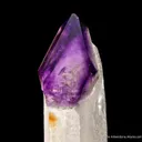 Quartz var. Amethyst (Scepter) - image 6