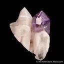 Quartz var. Amethyst (scepter) - image 5