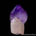 Quartz var. Amethyst (scepter) - image 4