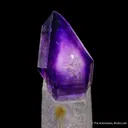 Quartz var. Amethyst (Scepter) - image 7