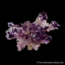 Quartz var. Amethyst (Scepters) - image 1