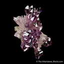 Quartz var. Amethyst (Scepters) - image 5