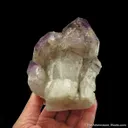 Quartz var. Amethyst Scepters - image 6