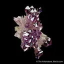 Quartz var. Amethyst (Scepters) - image 4